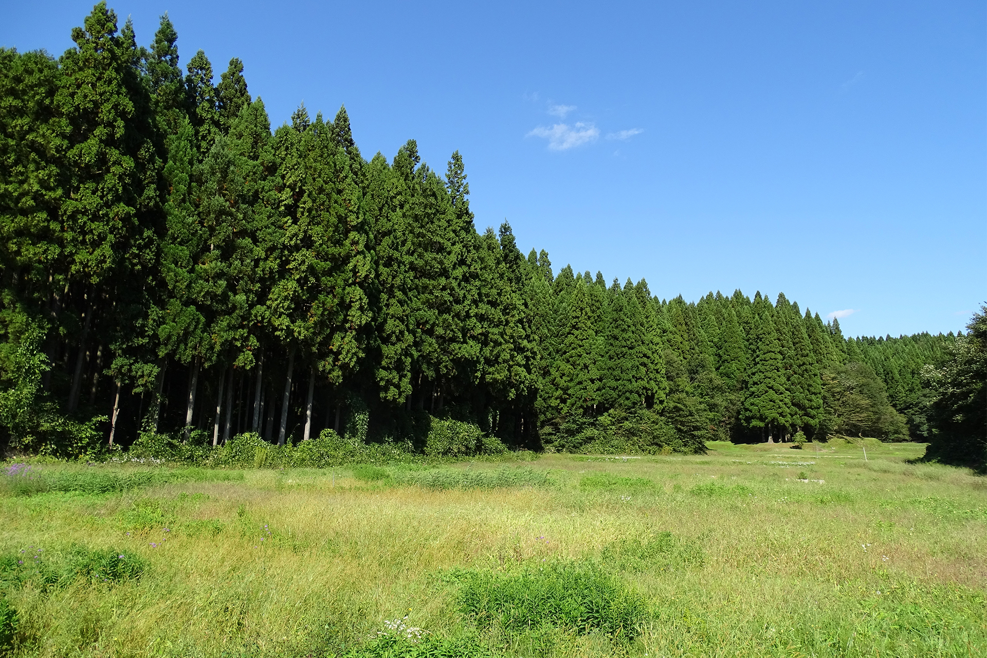 不動産引取ドットコム：スライド画像②